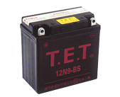 点击查看通用蓄电池有限公司 T.E.T 免维护系列蓄电池 12N9-BS更详细资料